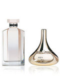 Perfume Breakdown