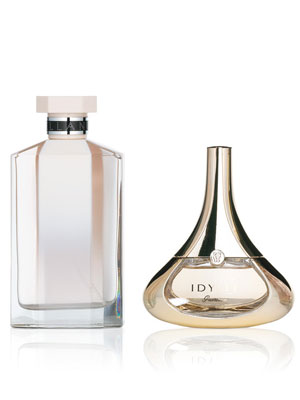 Perfume Breakdown