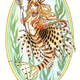 lionfishmer lionfishmer