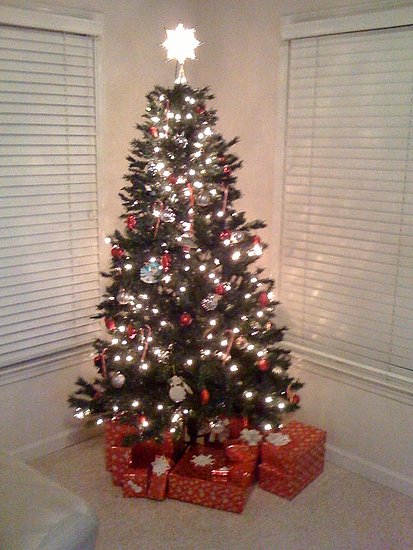 Our classy little Christmas tree!