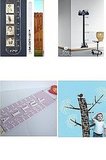 Decor-Friendly Growth Charts