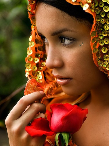 Beauties of the Globe Series! India - Indian Rose!