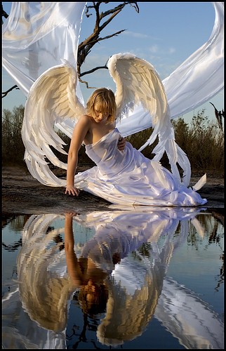 Adjusting Her Wings, The Water Nymph..
