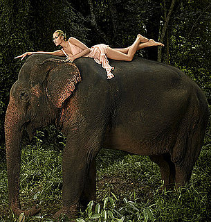 Best ANTM Photo Shoots