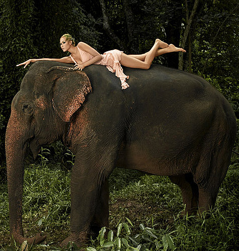 Best ANTM Photo Shoots