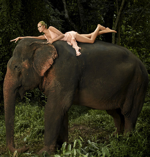 Best ANTM Photo Shoots