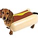 Dog Hot Dog