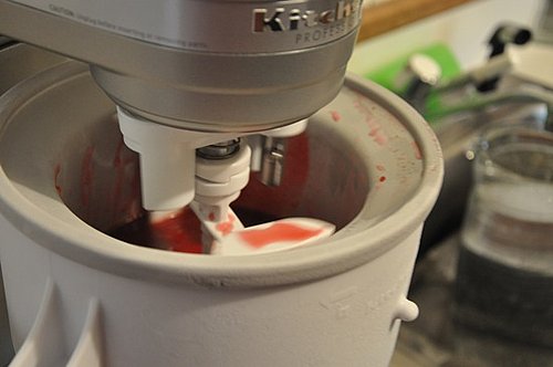 Minty Blood Orange Sorbet Minty Blood Orange Sorbet