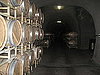 Have You Ever Taken a Tour of a Winery?