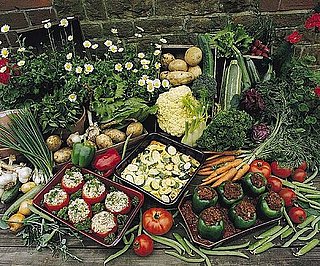 Good Vegan Recipes/Products?