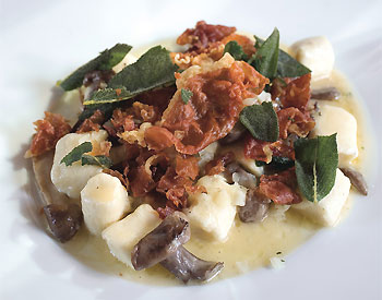 What is Gnudi?