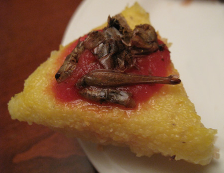 Grasshopper Polenta Grasshopper Polenta