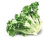 Easy Parchment Paper Baked Salmon and Greens Recipe 2009-11-09 18:02:37
