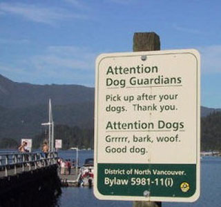 5 Funny Dog Signs: In the LINK of an Eye!