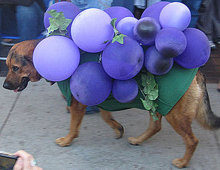Homemade Howl-oween: A Grape Costume Idea!