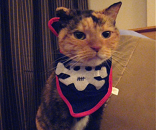 Buccaneer Bib Buccaneer Bib