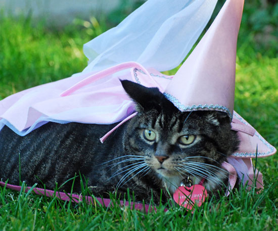 Pretty Princess at the Park Pretty Princess at the Park