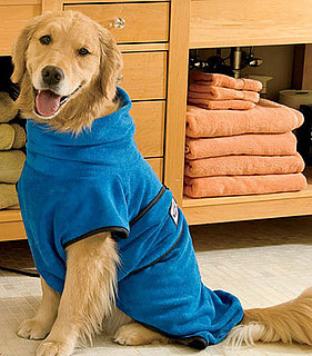Dog Drying Robe: Spoiled Sweet or Spoiled Rotten?