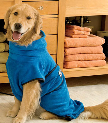 Dog Drying Robe: Spoiled Sweet or Spoiled Rotten?