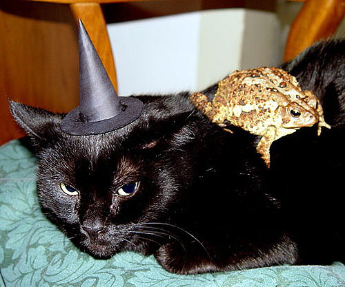 Peter's a Male Witch Peter's a Male Witch
