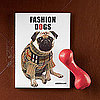 PetSugar's Street Team: Fashion Dogs