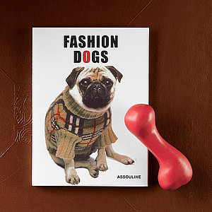 PetSugar's Street Team: Fashion Dogs