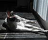 Pet Pic of the Day: Cookie McWhiskers Looks Lazy