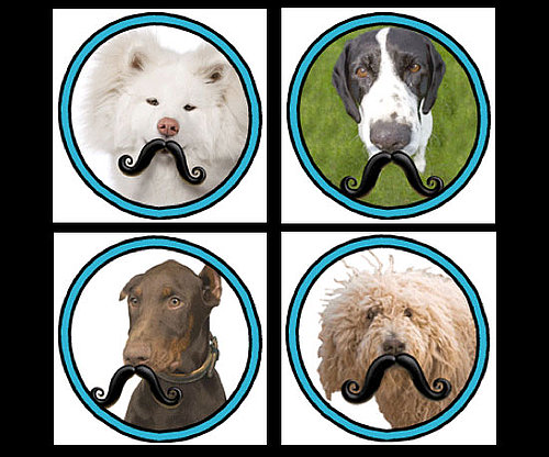 Humunga Stache Humunga Stache