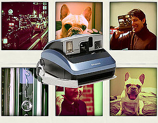 Sugar Shout Out: Polaroid's Triumphant Return From Extinction   