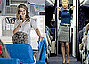 Would  You Rather Be a Tour Guide or a Flight Attendant?