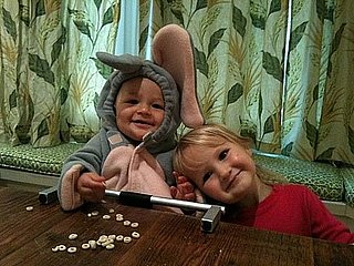 There's an Elephant on the Loose!