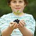 Welcome Composting