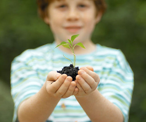 Welcome Composting Welcome Composting