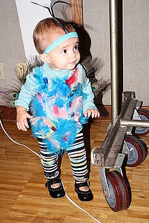 Sugarbabies: Shaking Tail Feathers