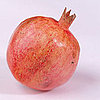 Seasonal Produce For Fall