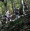 Hike the Hill: Preventing Knee Pain 