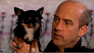 Anthony Edwards Returns to TV