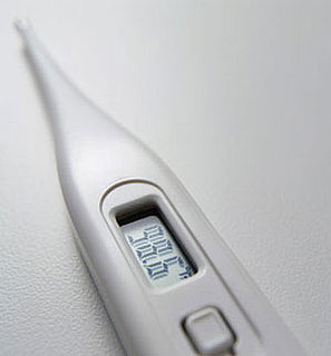 Should You Starve a Fever?