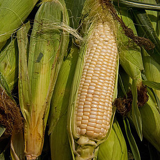 High-Fructose Corn Syrup Linked to Hypertension
