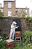 Would You Add a Beehive to Your Home?