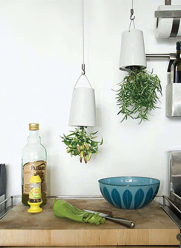 Cool Idea: Turn That Frond Upside Down