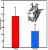 Who Knew? Bat Oral Sex Might Have an Evolutionary Benefit