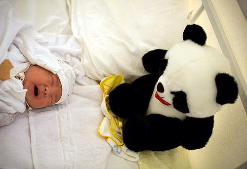 German Researchers Find That Babies Cry in Parents' Language