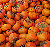 Persimmon