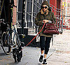 Sienna Miller Walking Her Dog in SoHo