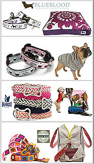Who's Your Favorite Stylish Pet Designer?