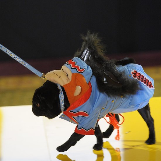 Flying Monkeys!