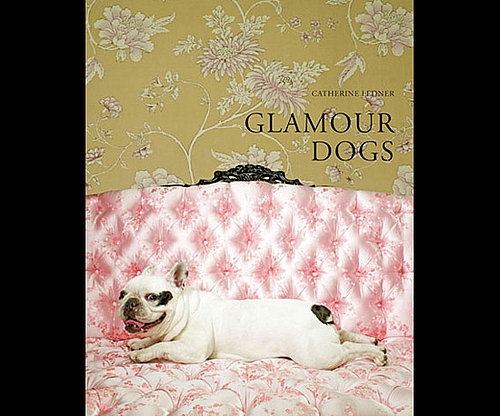 Glamour Dogs Glamour Dogs
