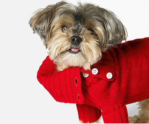 Cabled Cashmere Turtleneck Cabled Cashmere Turtleneck