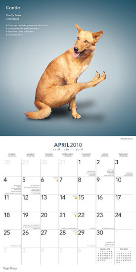 April — Firefly Pose
